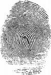 Enlarged view: Fingerprint